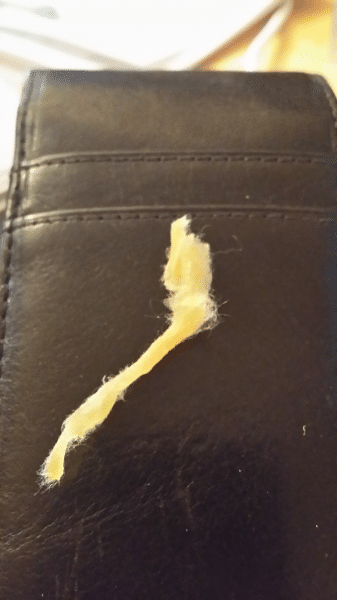 FiberFreaksApresFeu