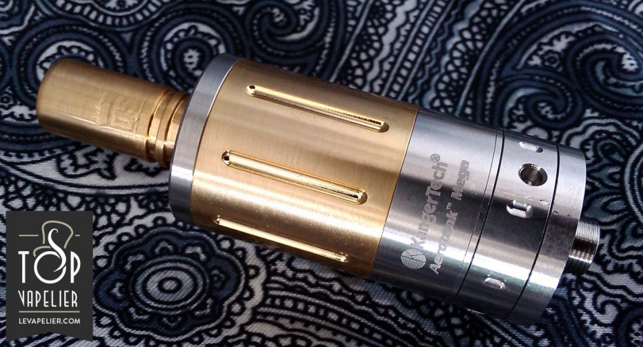 DSmega1