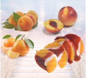 Fruits