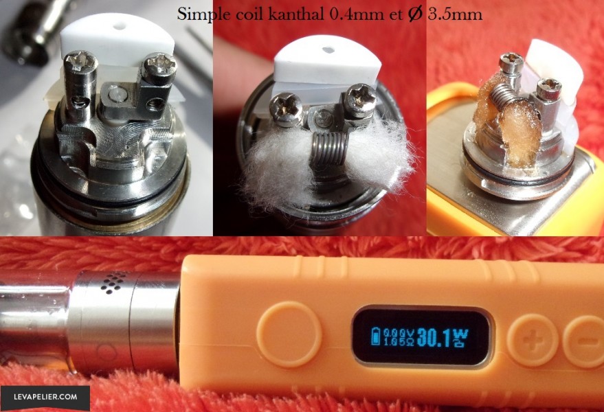 bellus_single coil2