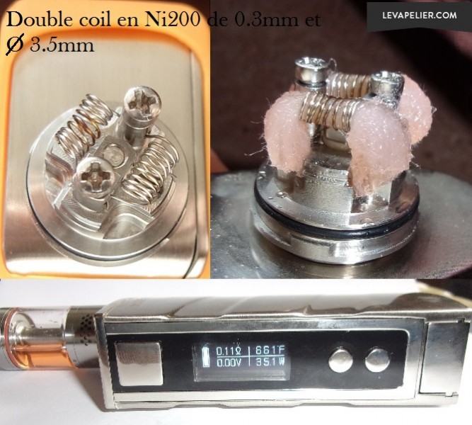 bellus_nickel1