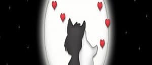 love-cats