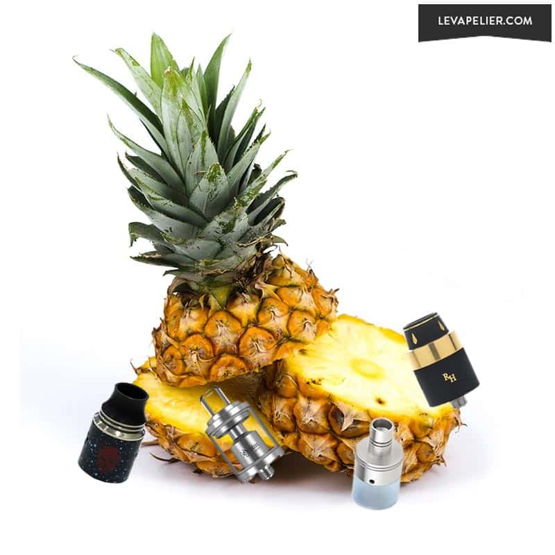 Ananas2