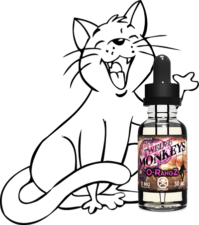 chat-Bouteille