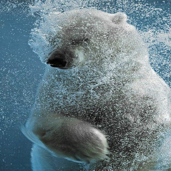 ours