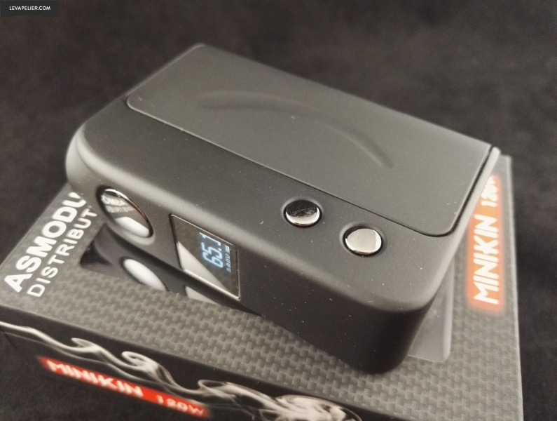 Minikin_asmodus (1)
