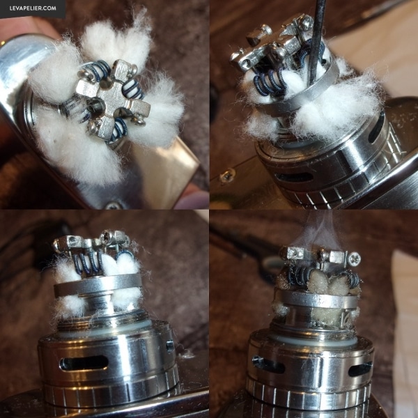 TF-RTA_coton