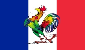 Coq_fr