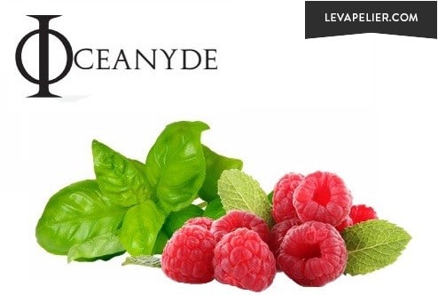 fresh,basil,green,glossy,fragrant,leaves,sprig,herb,herbal,ingredient,garnish,plant,recipe,isolated,"copy space",spicy,flavor,flavour,cooking,pesto