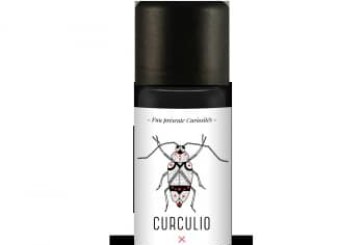 CURCULIO par FUU