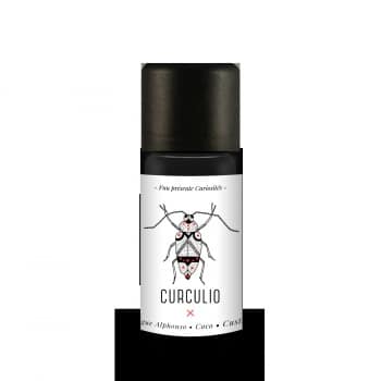 CURCULIO par FUU