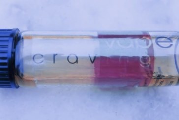 Delight par Vape Craving