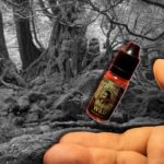 Into The Wild par Vaponaute
