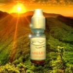 Valley par Flying Vap