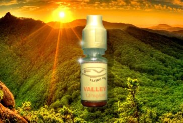 Valley par Flying Vap