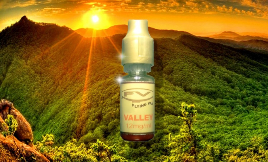 Valley par Flying Vap