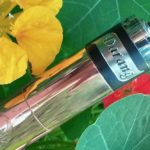 Darang par GP Custom