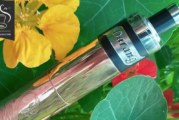 Darang par GP Custom
