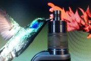 Nectar Tank par Ap Group