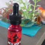 Red Rock Dark Turtle par Savourea [Flash Test]