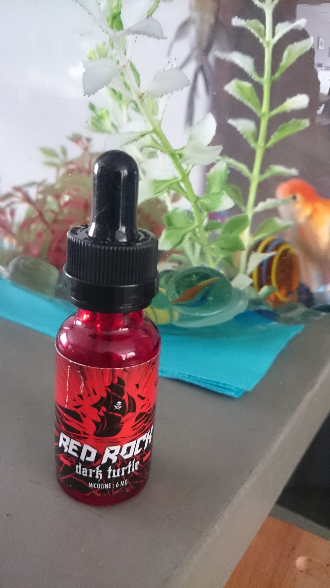Red Rock Dark Turtle par Savourea [Flash Test]