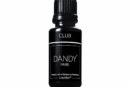 Dandy club par Liquideo [Flash Test]