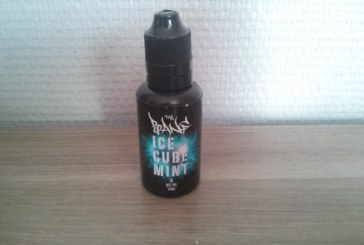 Ice Cube Mint par Solevan France