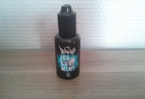 Ice Cube Mint par Solevan France