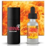 Solar Storm par Survival [Flash Test]