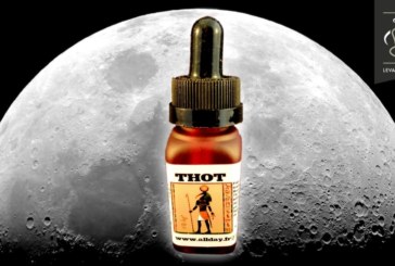 THOT (gamme les Dieux Egyptiens) par Allday
