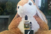 Vapybear par Fuu