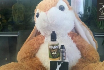 Vapybear par Fuu