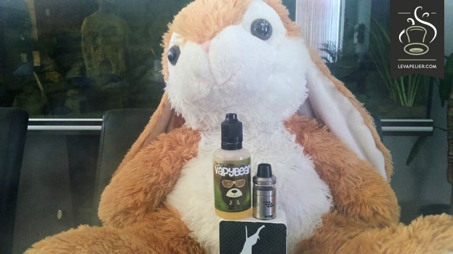 Vapybear par Fuu