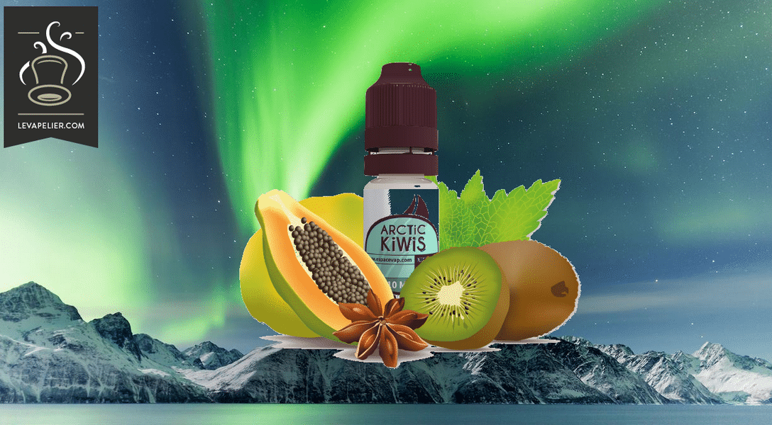 Arctic Kiwis (gamme Addiction) par Espace Vap