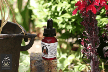 Oudjat (gamme Les Dieux Egyptiens) par Allday