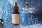 Antarctica par Thenancara