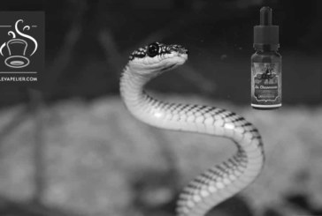 La Charmeuse ( gamme Black Cirkus ) par Cirkus