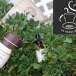 Sirop Philosophique (Gamme Secret d'Apothicaire) par Le French Liquide