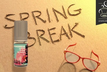Springbreak par D’Lice