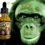 Kanzi par Twelve Monkeys