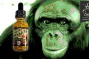 Kanzi par Twelve Monkeys