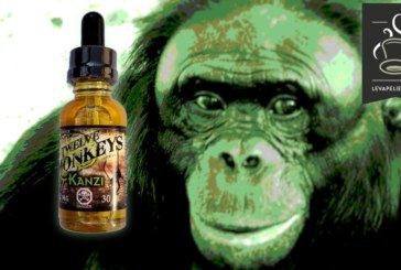 Kanzi par Twelve Monkeys