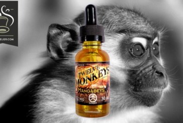 Mangabeys par Twelve Monkeys