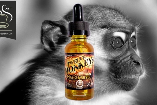 Mangabeys par Twelve Monkeys