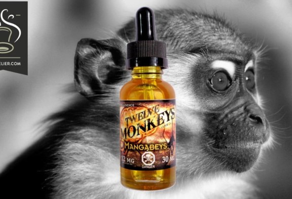 Mangabeys par Twelve Monkeys