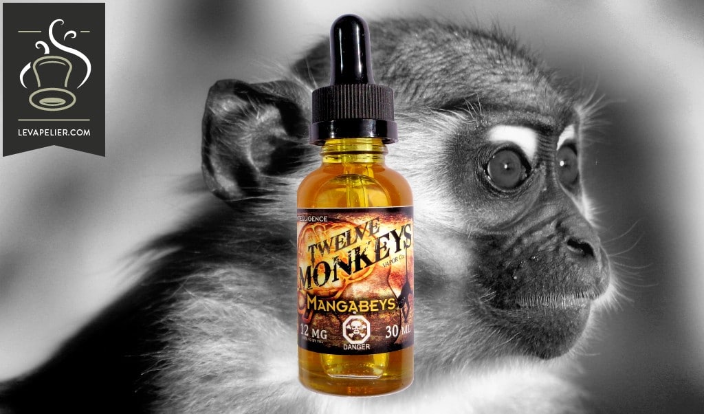Mangabeys par Twelve Monkeys
