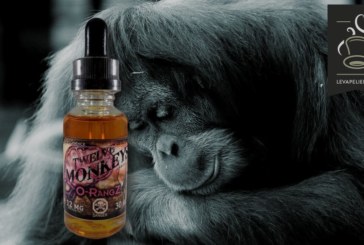 O-Rangz par Twelve Monkeys