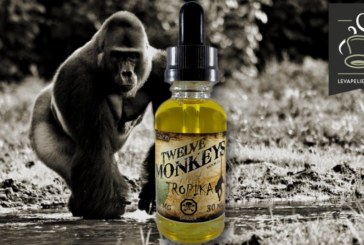 Tropika par Twelve Monkeys