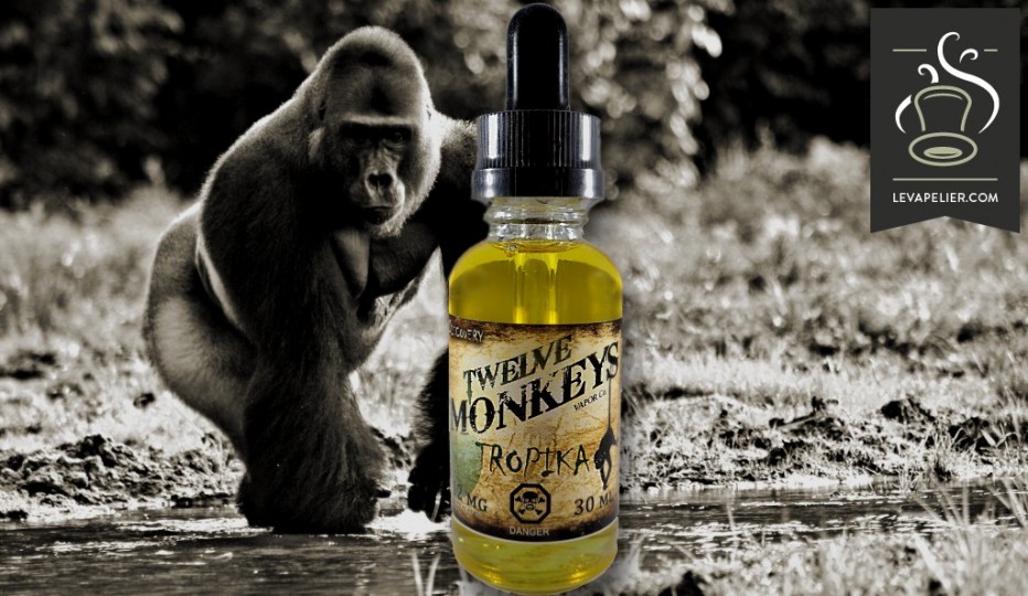Tropika par Twelve Monkeys