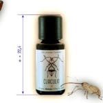 Curculio (gamme Curiosités) par FUU